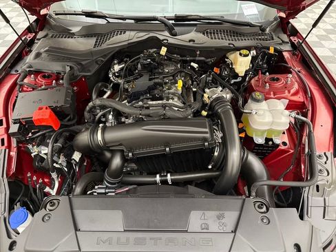 New 2024 Ford Mustang Premium image 34