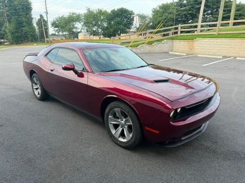 Used 2019 Dodge Challenger SXT RWD image 3