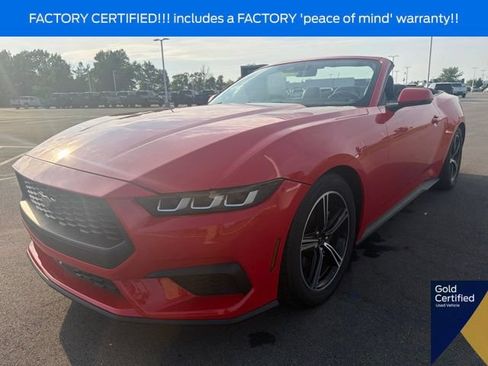 Used 2024 Ford Mustang Premium RWD image 6