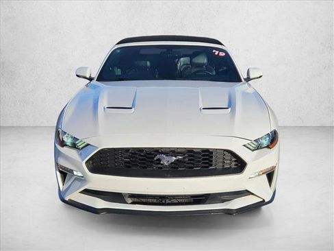 Used 2019 Ford Mustang Premium image 2