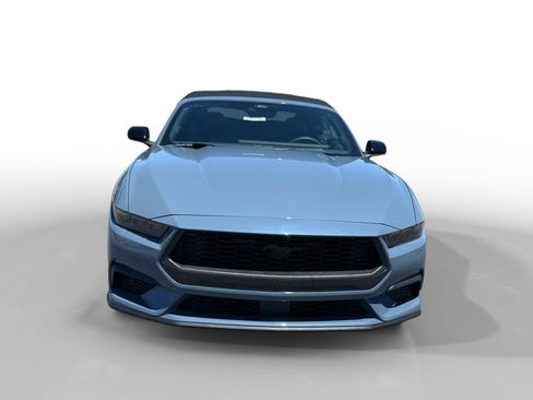 New 2026 Ford Mustang Premium w/ Mustang Nite Pony Package RWD image 8