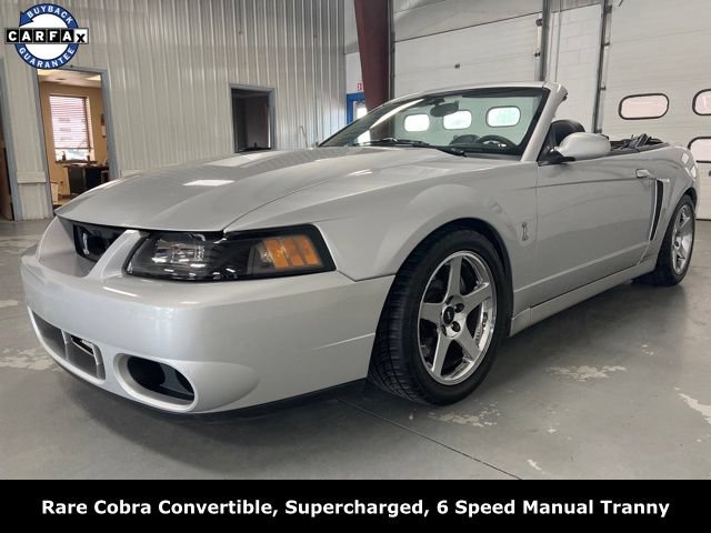 Used 2004 Ford Mustang Cobra RWD image 3