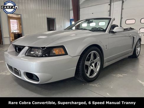 Used 2004 Ford Mustang Cobra RWD image 3