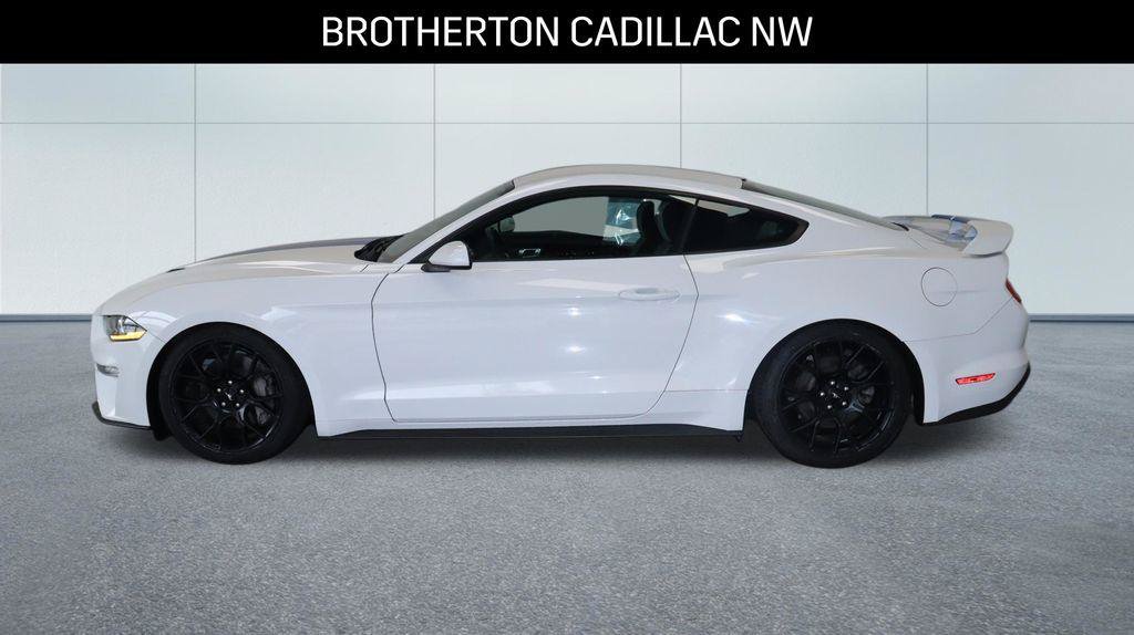 Used 2018 Ford Mustang Coupe w/ Ecoboost Performance Package RWD image 2