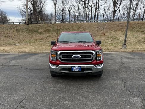 Used 2022 Ford F150 XLT w/ Equipment Group 302A High image 2