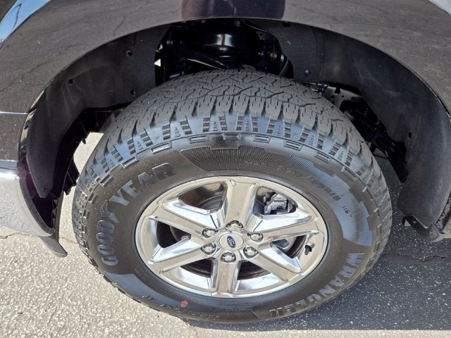 Used 2025 Ford F150 XLT w/ Equipment Group 301A Standard AWD/4WD image 23