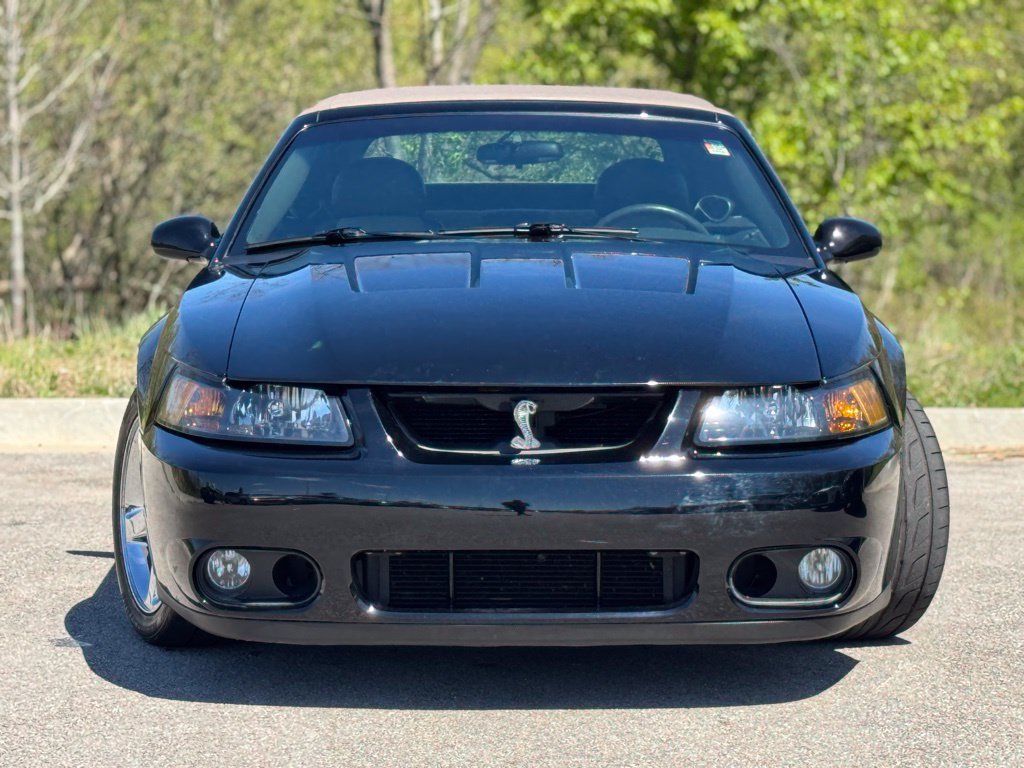 Used 2003 Ford Mustang Cobra RWD image 2