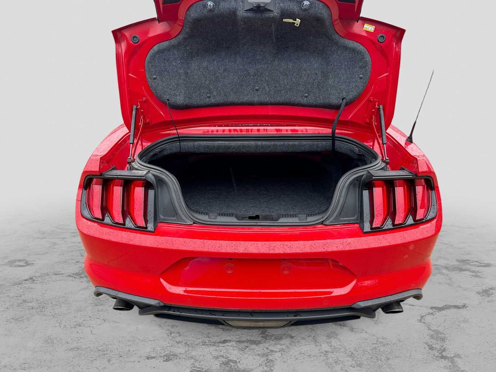 Used 2019 Ford Mustang Premium w/ Equipment Group 201A RWD image 31