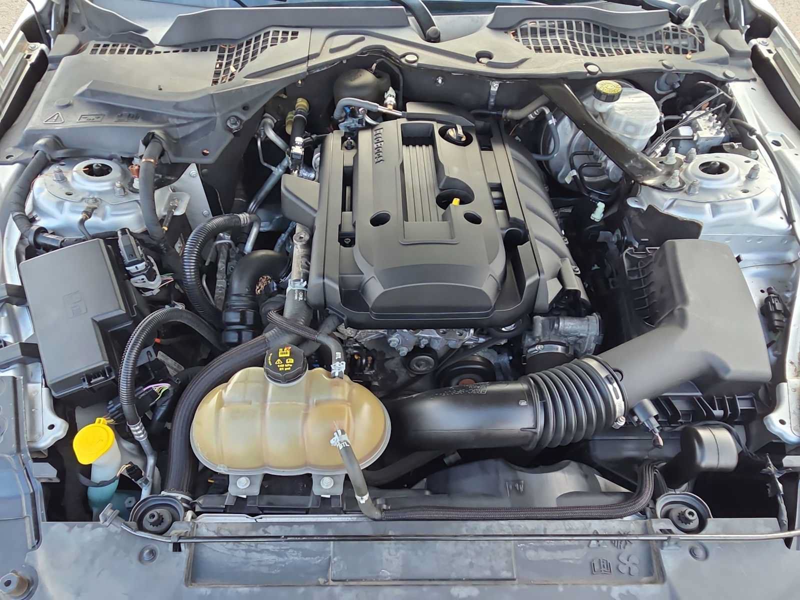Used 2019 Ford Mustang Premium RWD image 13