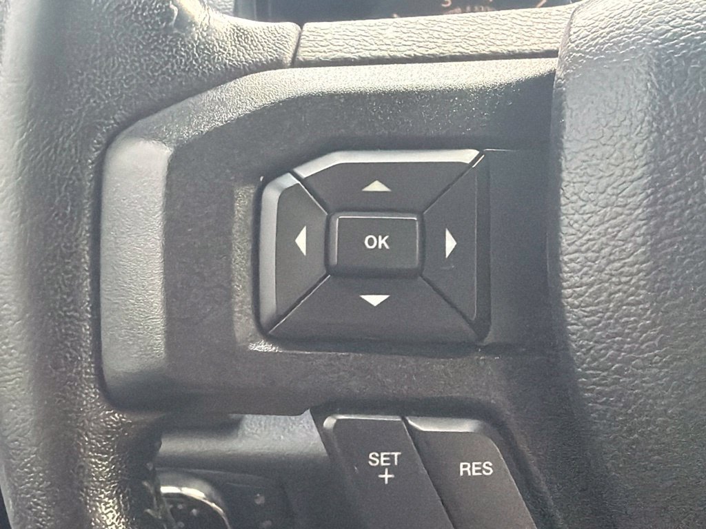Used 2019 Ford F150 XLT w/ Equipment Group 302A Luxury AWD/4WD image 14