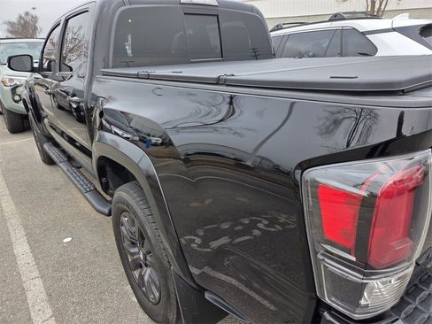 Used 2023 Toyota Tacoma Limited w/ Nightshade Package image 4