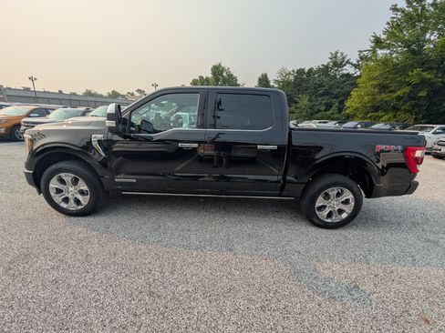 Certified 2023 Ford F150 Platinum w/ Equipment Group 701A High AWD/4WD image 3