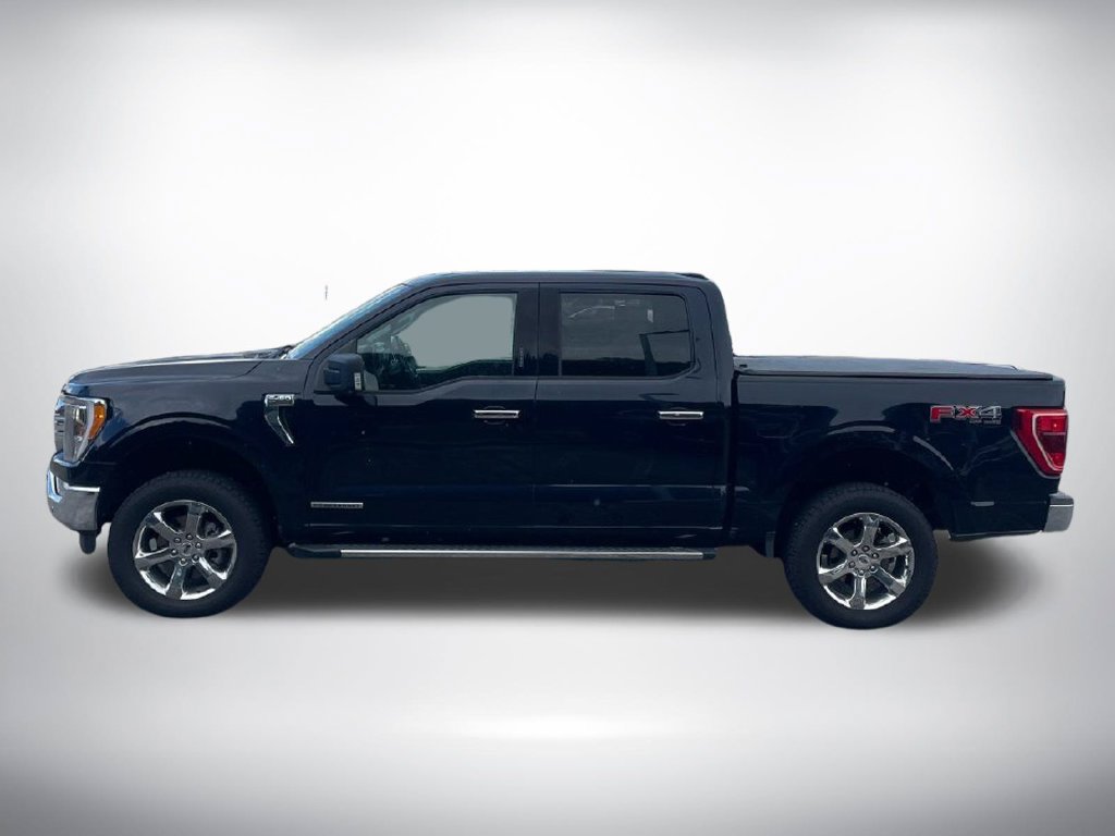 Used 2021 Ford F150 XLT w/ Equipment Group 302A High AWD/4WD image 2