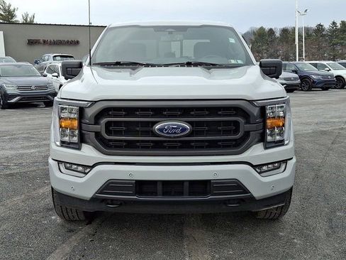 Used 2023 Ford F150 XLT w/ Equipment Group 302A High image 2