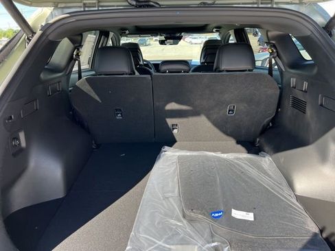 Used 2024 Kia Sportage X-Line image 10