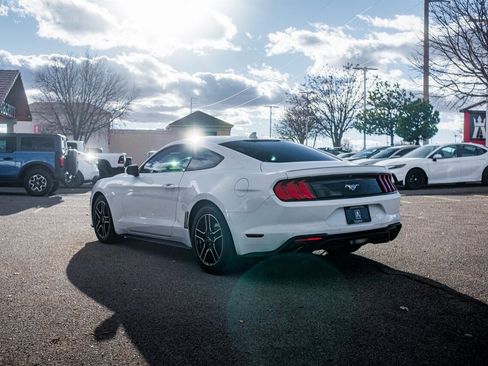 Used 2021 Ford Mustang Premium image 5