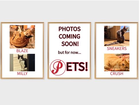 Used 2022 Ford Transit 350 XLT image 8