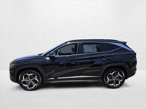 New 2024 Hyundai Tucson Limited image 5