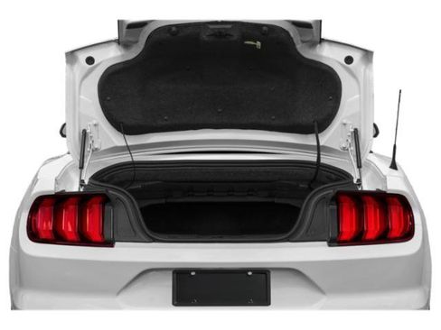 Used 2022 Ford Mustang Premium image 11