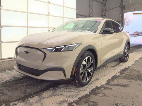 Used 2025 Ford Mustang Mach-E Select w/ Comfort Package Lite image 1