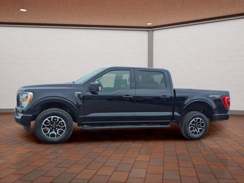 Used 2023 Ford F150 XLT w/ Equipment Group 302A High image 5