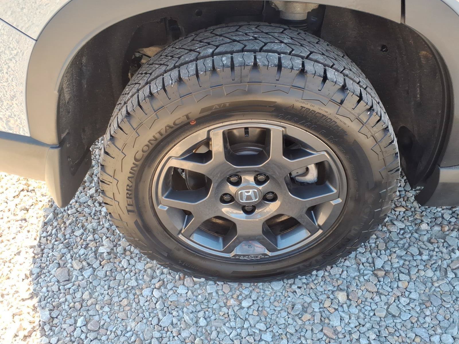 Certified 2025 Honda Pilot TrailSport image 12