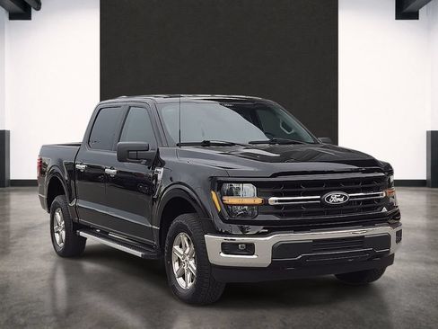 Used 2025 Ford F150 XLT w/ Equipment Group 301A Standard AWD/4WD image 6