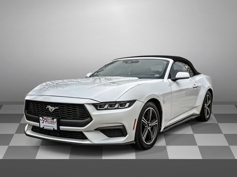 Used 2024 Ford Mustang Premium image 3