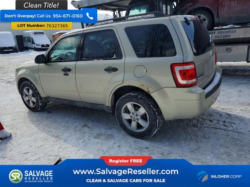 Used 2010 Ford Escape XLT image 3