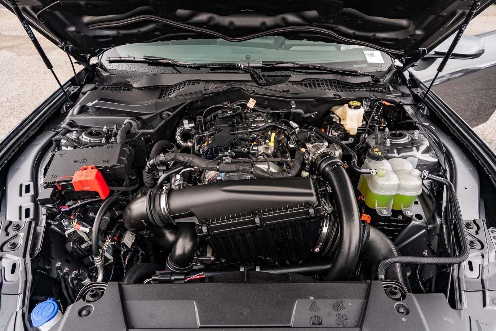 New 2026 Ford Mustang Coupe RWD image 14