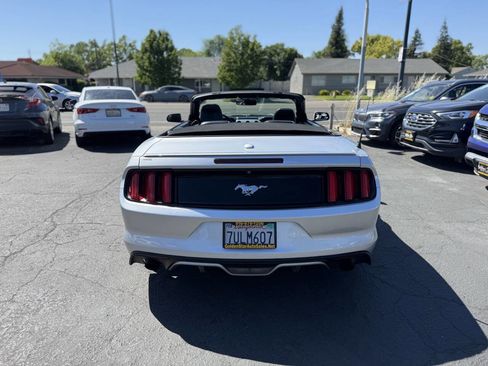 Used 2017 Ford Mustang Premium w/ Equipment Group 201A image 5