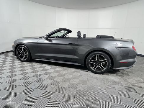 Used 2019 Ford Mustang Premium RWD image 2