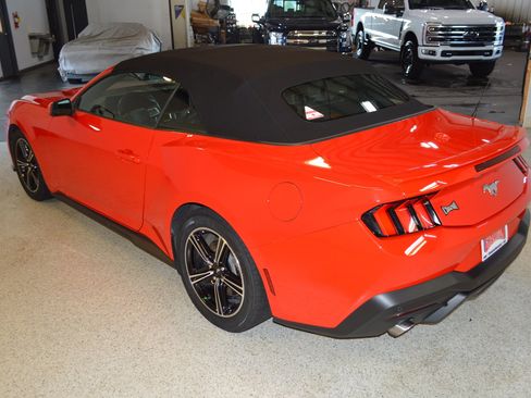 Used 2025 Ford Mustang Premium RWD image 5