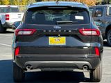 New 2024 Ford Escape ST-Line w/ Equipment Group 301A image 5