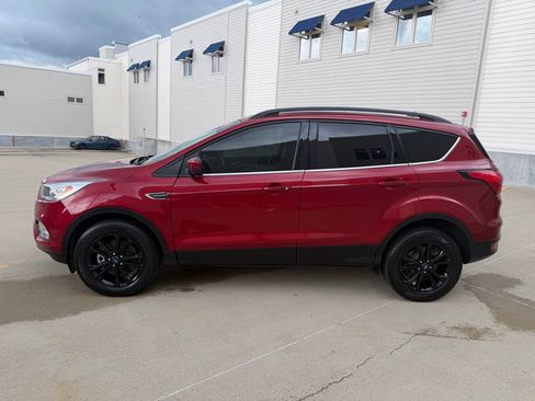 Used 2019 Ford Escape SEL AWD/4WD image 6
