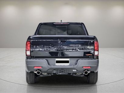New 2026 Honda Ridgeline TrailSport