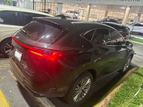 Used 2025 Lexus NX 350 AWD w/ Cold Area Package image 2