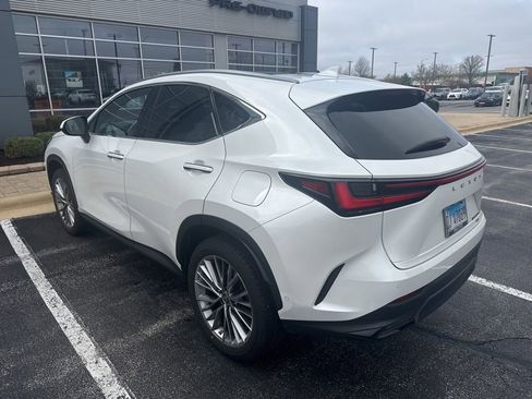 Used 2022 Lexus NX 350h AWD w/ Vision Package image 3