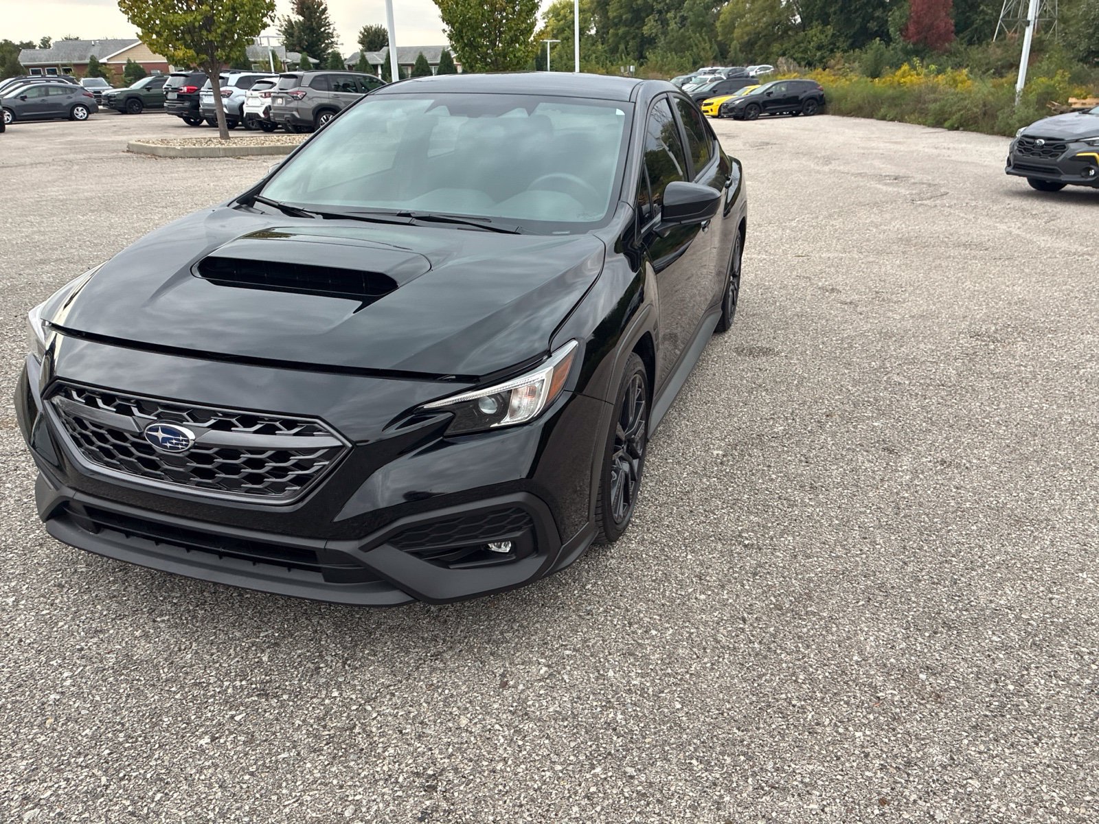 Used 2024 Subaru WRX Premium AWD/4WD image 3