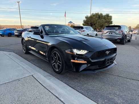 Used 2023 Ford Mustang Premium w/ Equipment Group 201A image 5