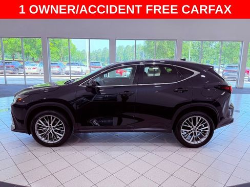 Certified 2025 Lexus NX 350 AWD w/ Premium Package image 5