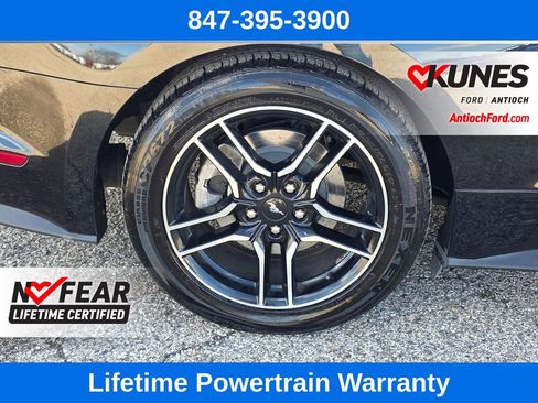 Certified 2022 Ford Mustang Premium image 18