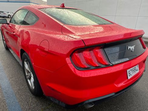 Used 2021 Ford Mustang EcoBoost image 4