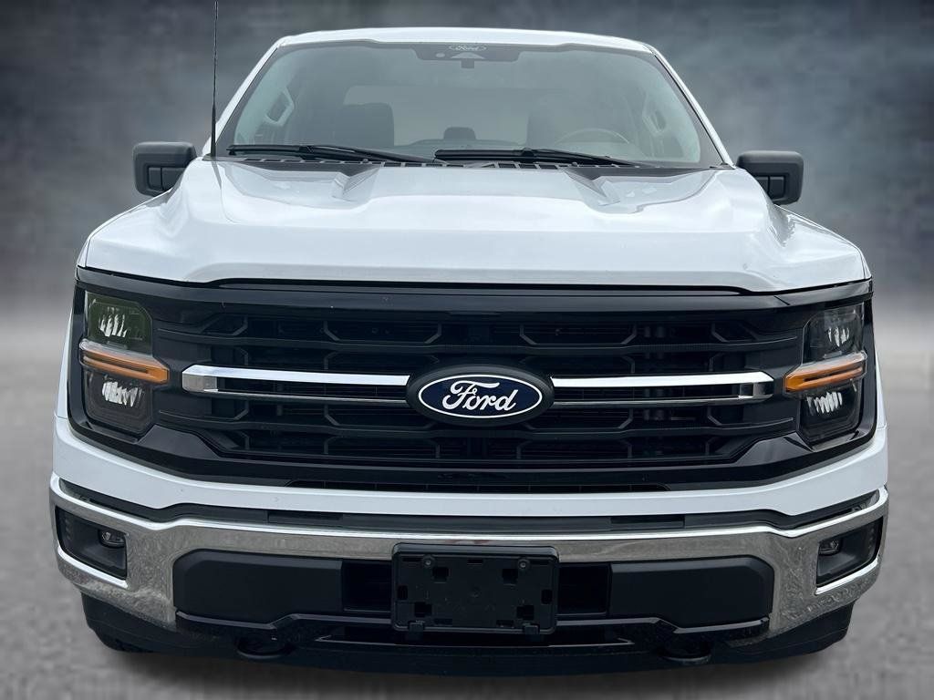 Used 2025 Ford F150 XLT w/ Equipment Group 301A Standard AWD/4WD image 8
