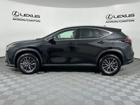 Used 2025 Lexus NX 350 350 Base w/ Cold Area Package image 11