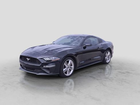Used 2021 Ford Mustang Premium w/ Equipment Group 201A RWD image 4