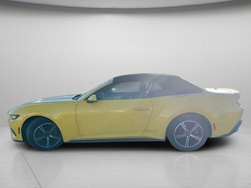 Used 2024 Ford Mustang Premium image 14