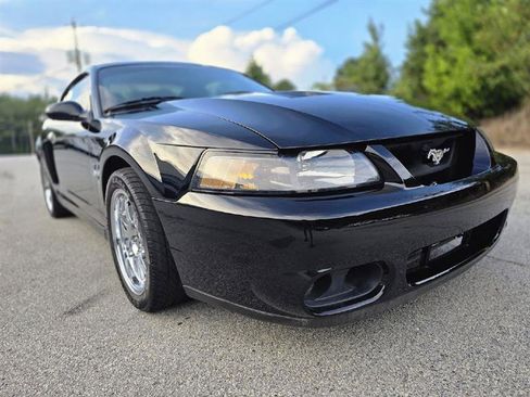 Used 2003 Ford Mustang Cobra image 16