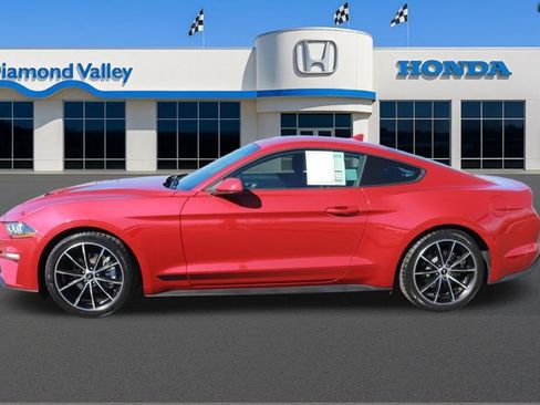 Used 2021 Ford Mustang Coupe w/ Equipment Group 101A image 7