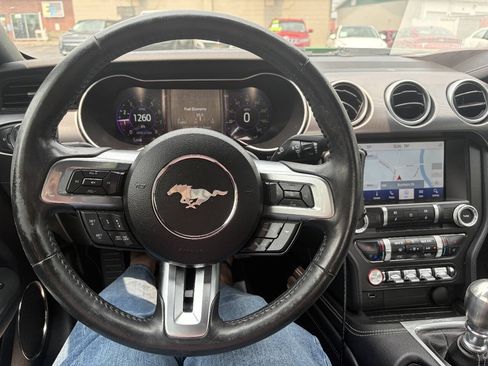 Used 2019 Ford Mustang Premium w/ Equipment Group 201A RWD image 13